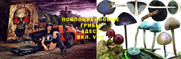 сатива Богородицк