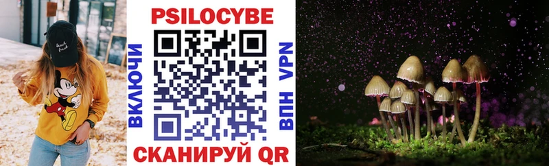 Купить  Талица  Галлюциногенные грибы Psilocybine cubensis 